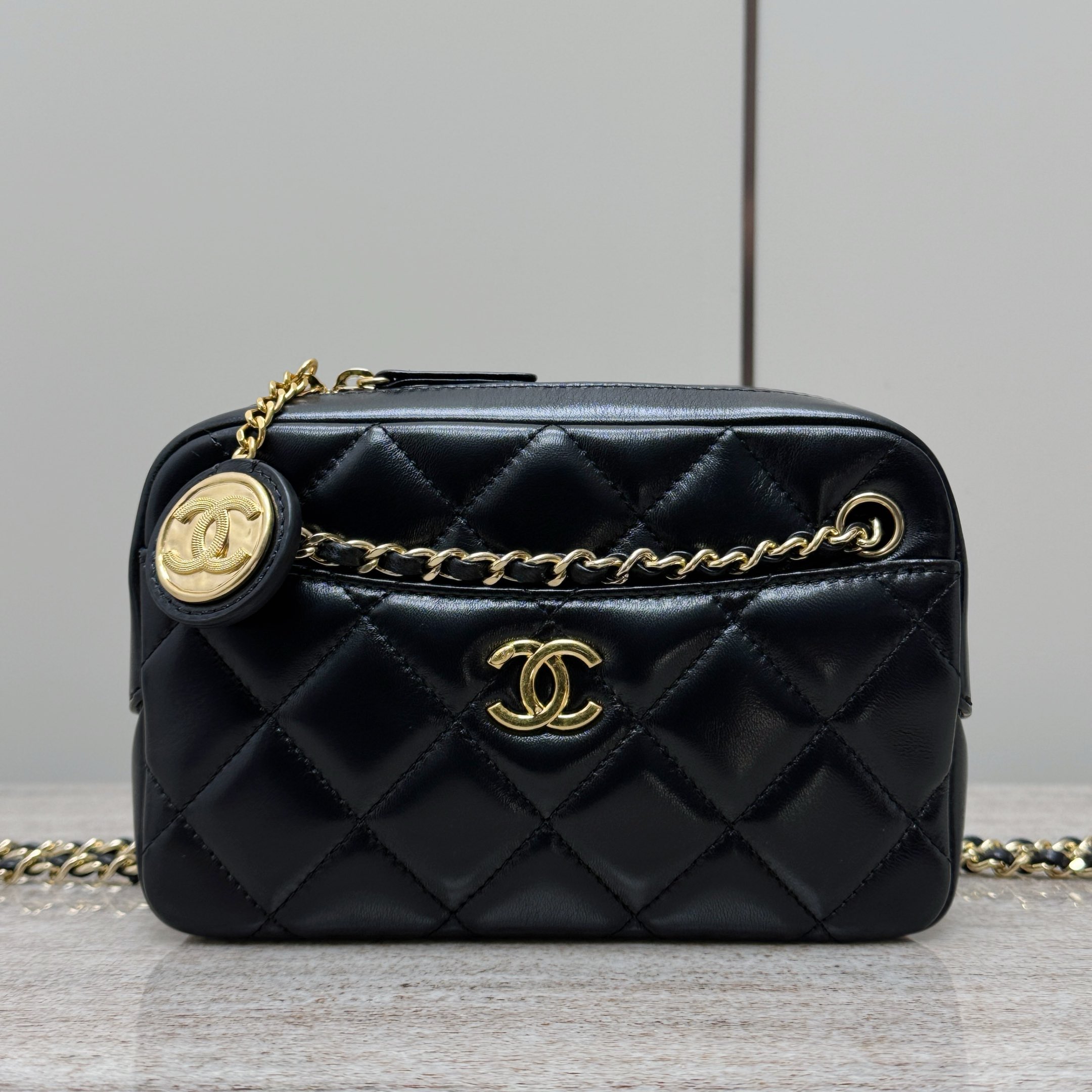 CHANEL Gold Coin Camera Bag (+premium)