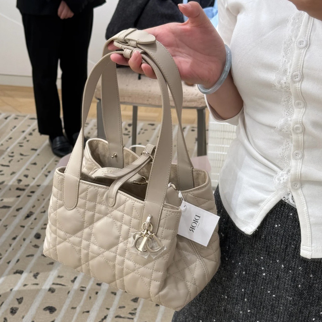 Dior toujours Tote Bag Small