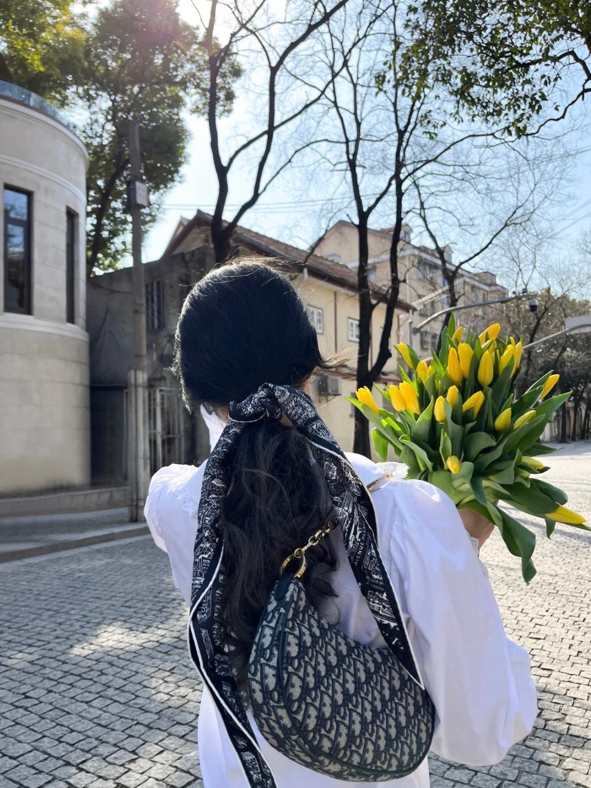 Dior Oblique Shoulder Bag