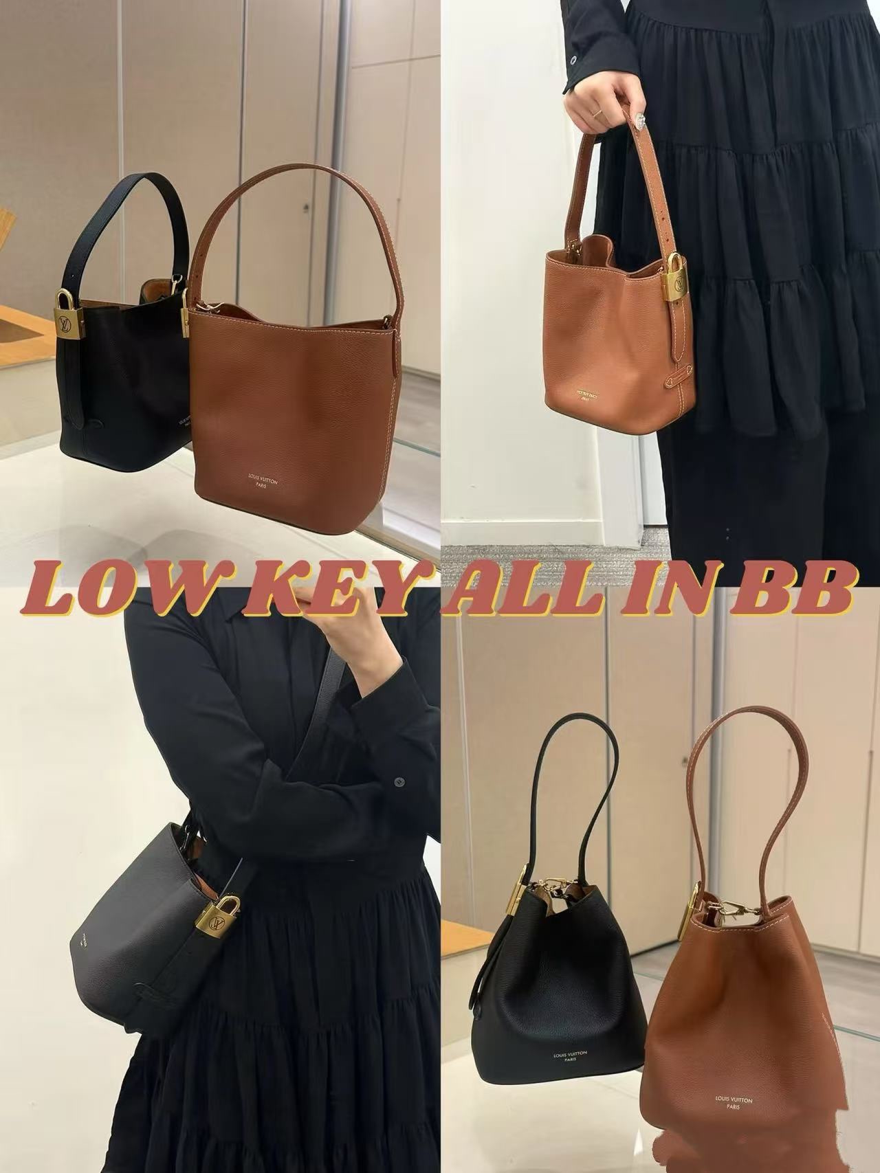 Louis Vuitton Low Key Hobo pm(+2color)