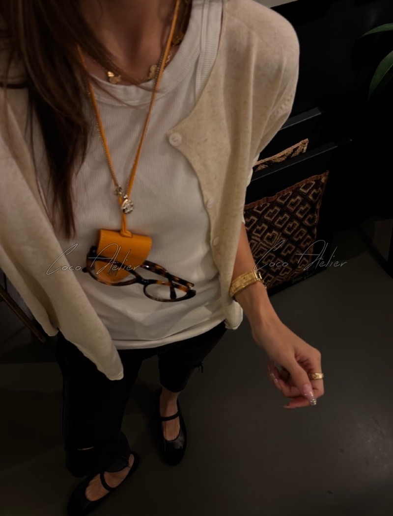 Goyard 고야드 백 참