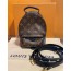 Louis Vuitton 팜스프링스 백팩 미니 M44873