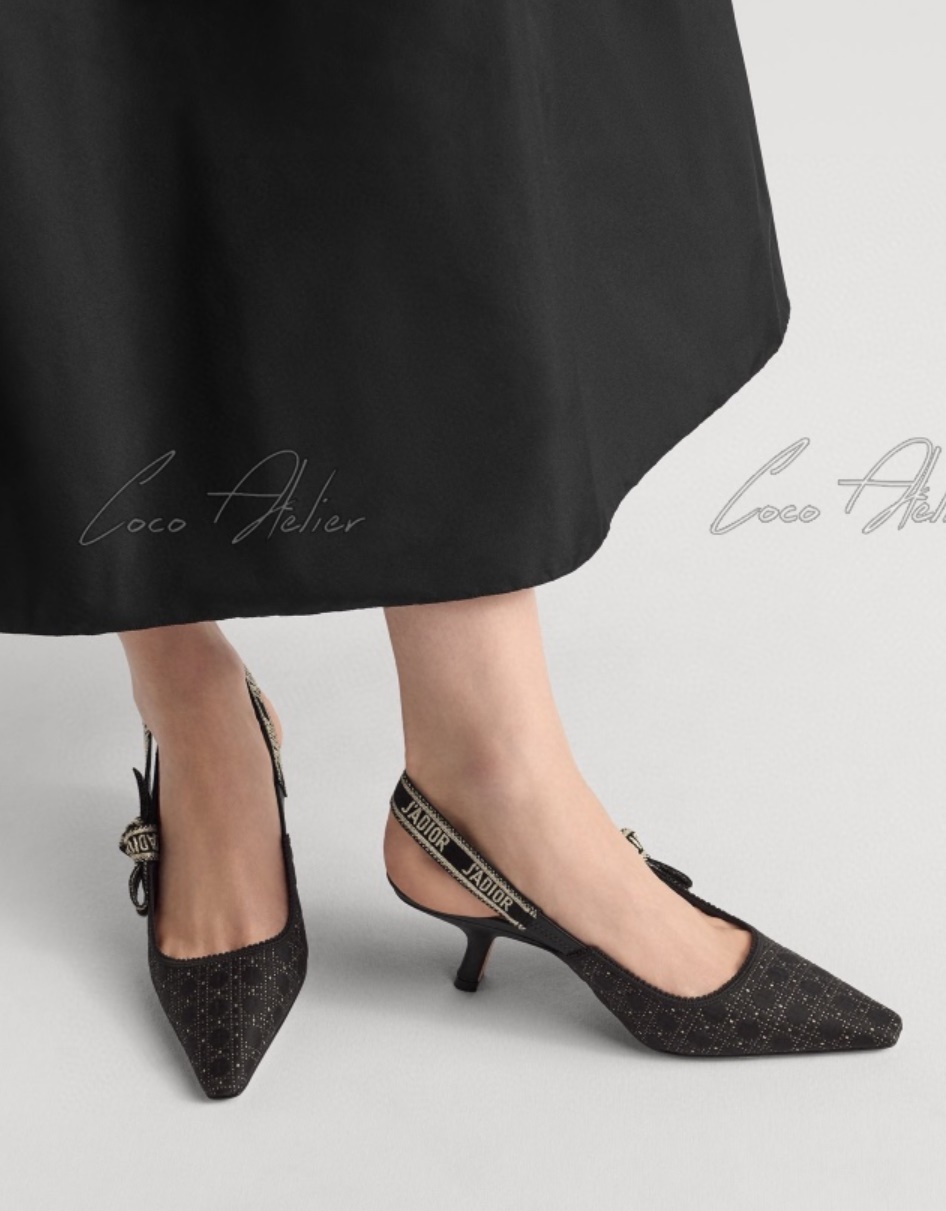 Dior 디올 슬링백 (+3type)