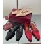 GUCCI 구찌 Cosmogonie (+3type)