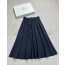 Navy Skirt